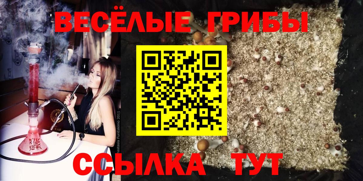 купить наркоту  Галлюциногенные грибы ЛСД  Вход с VPN  Новочебоксарск 